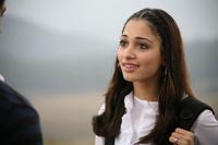 Tamanna Latest Stills